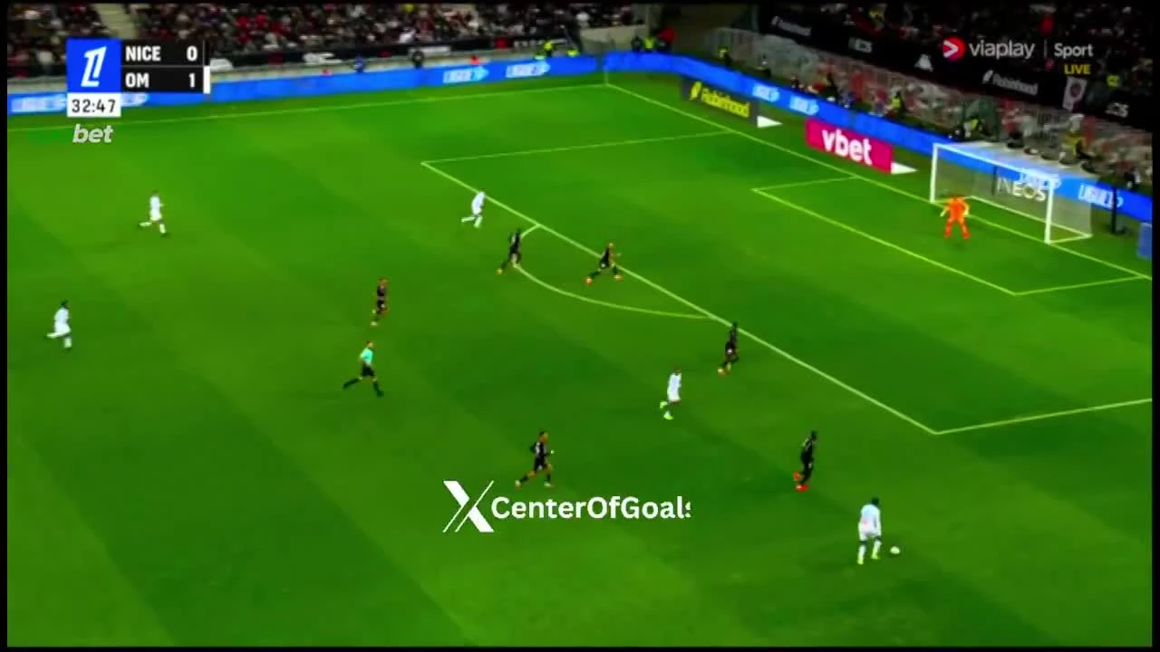 zaslepka skrotu video