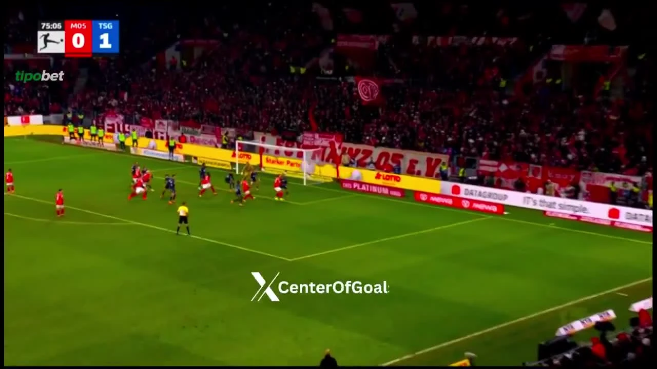 zaslepka skrotu video