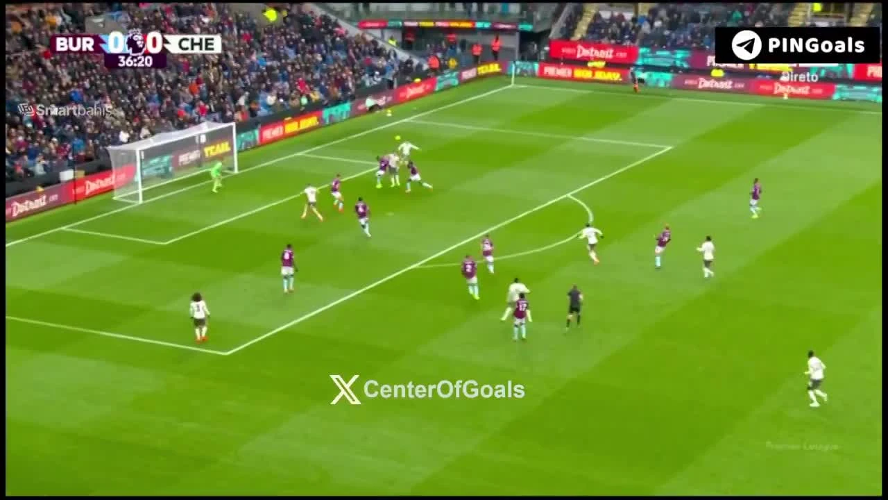 zaslepka skrotu video