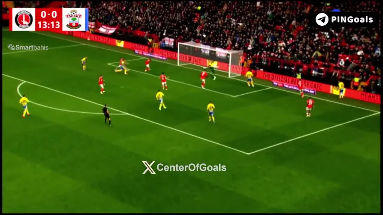 zaslepka skrotu video