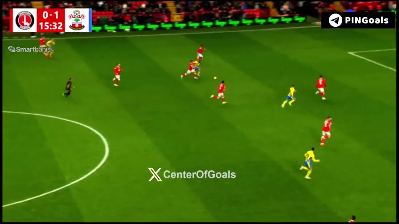 zaslepka skrotu video