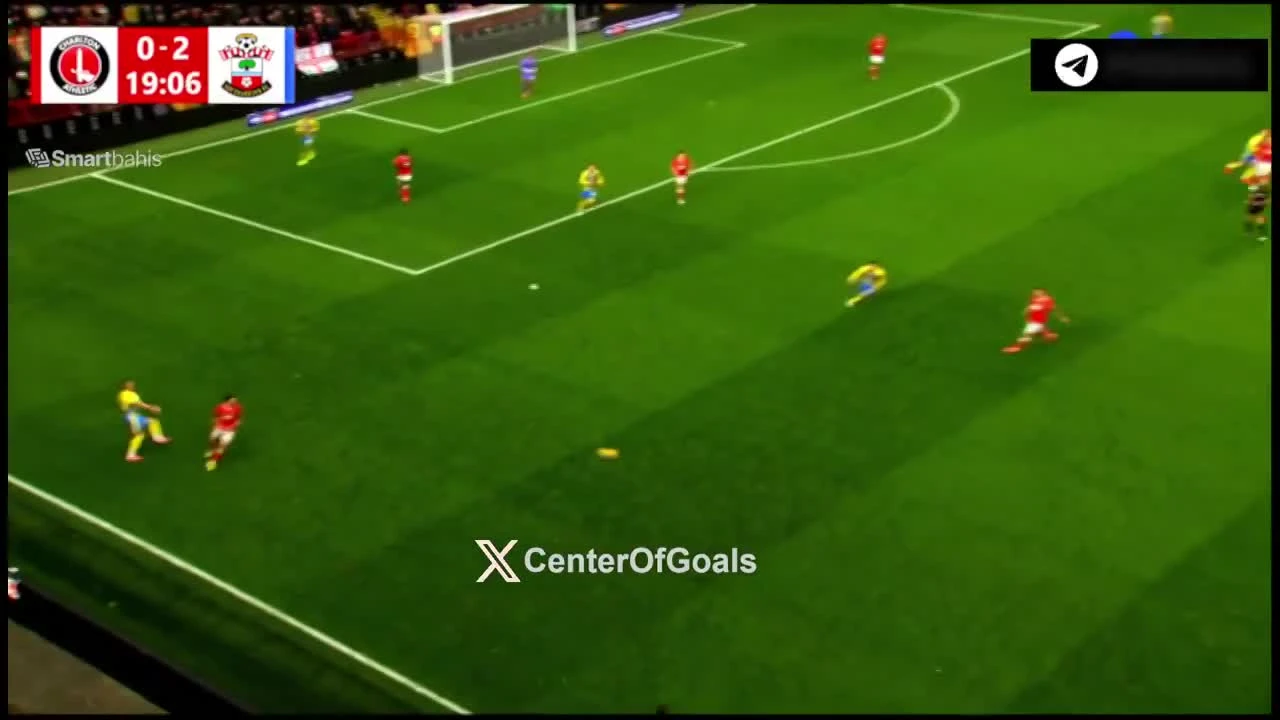 zaslepka skrotu video