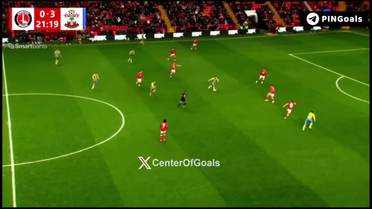 zaslepka skrotu video