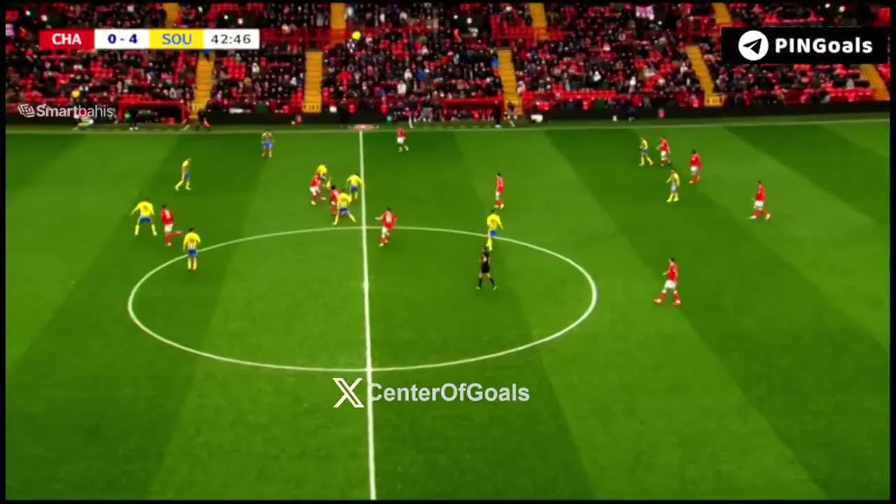 zaslepka skrotu video