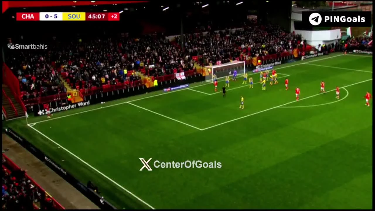 zaslepka skrotu video