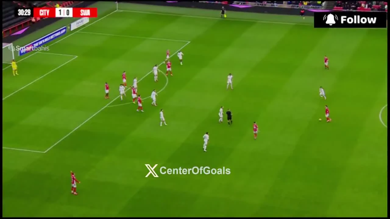 zaslepka skrotu video