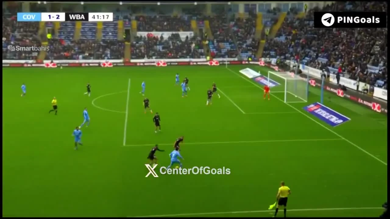 zaslepka skrotu video