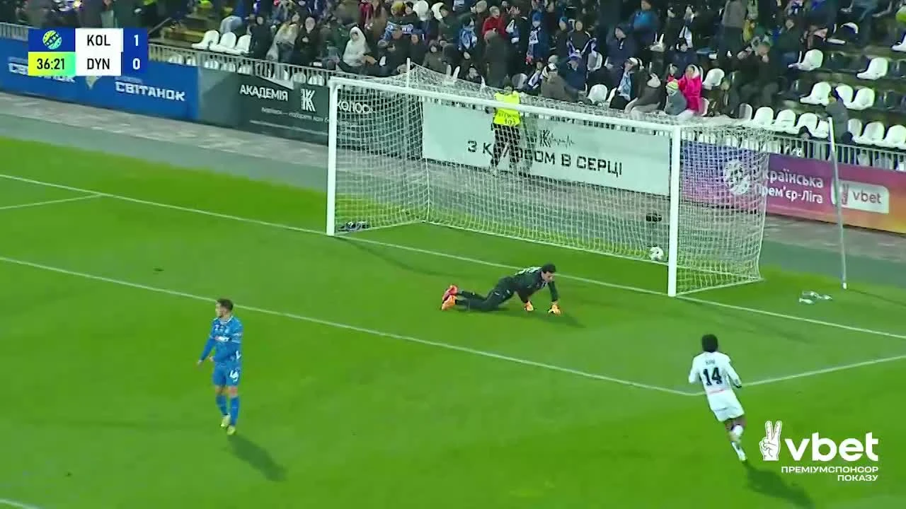 zaslepka skrotu video