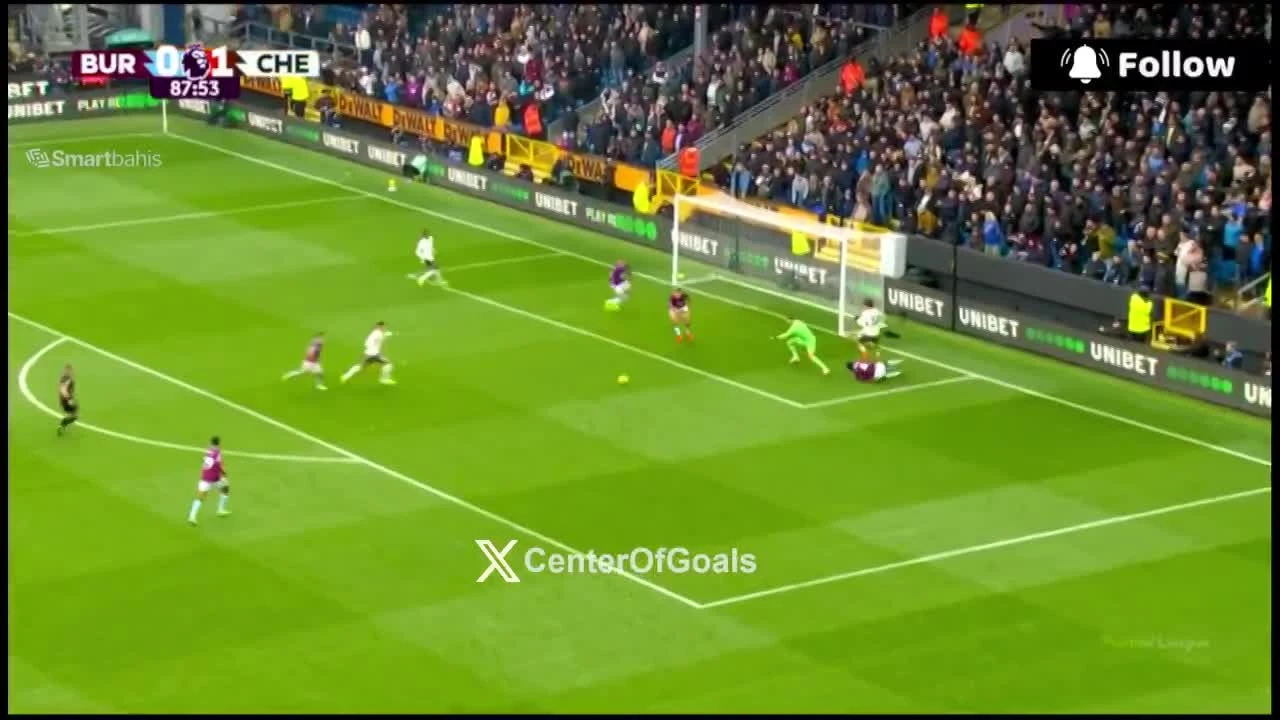 zaslepka skrotu video