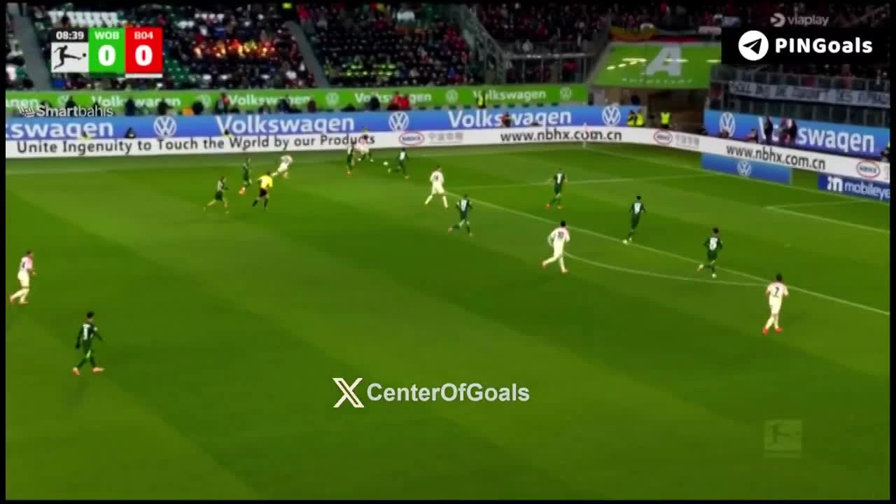 zaslepka skrotu video