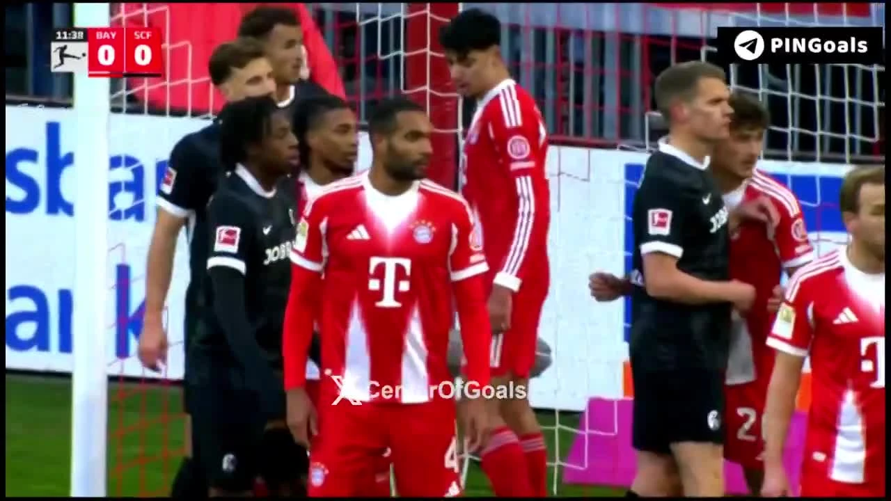 zaslepka skrotu video