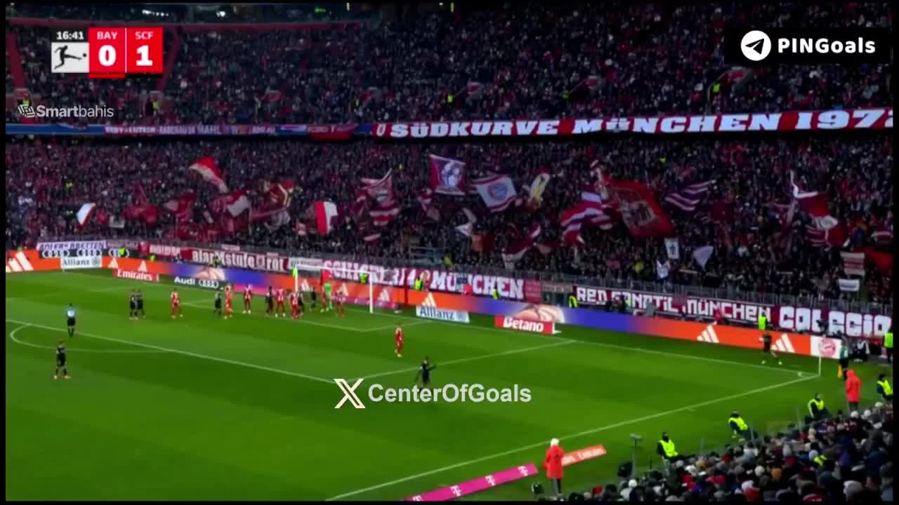 zaslepka skrotu video