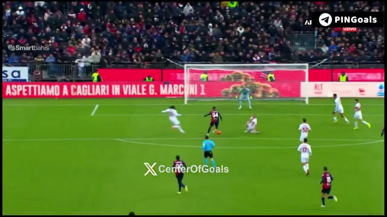 zaslepka skrotu video