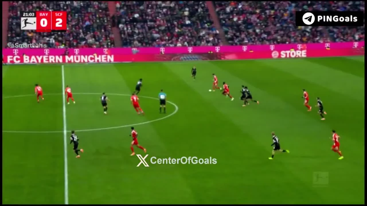 zaslepka skrotu video