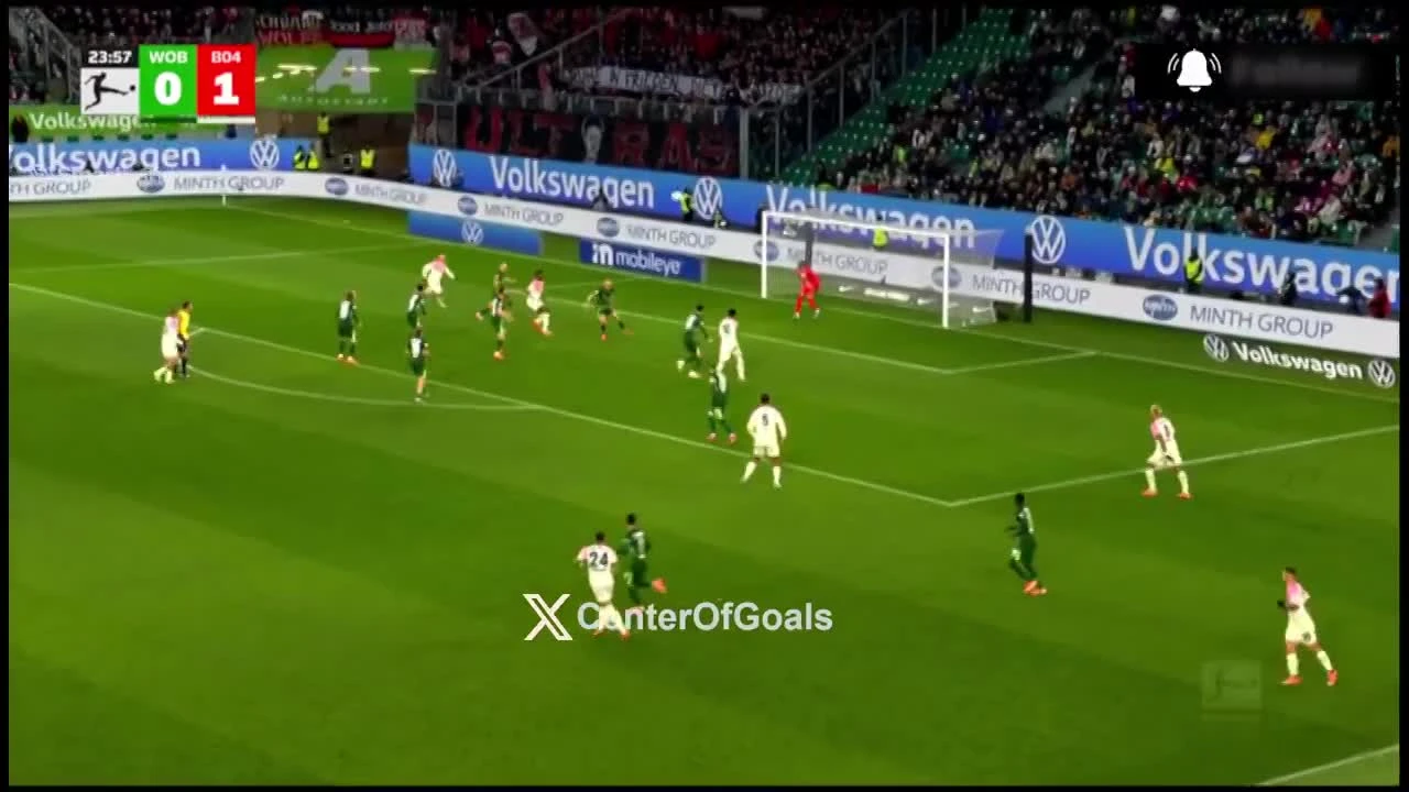 zaslepka skrotu video