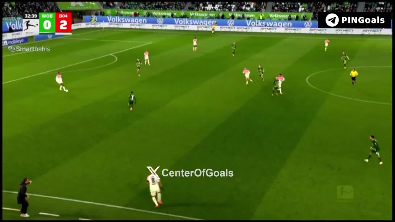 zaslepka skrotu video