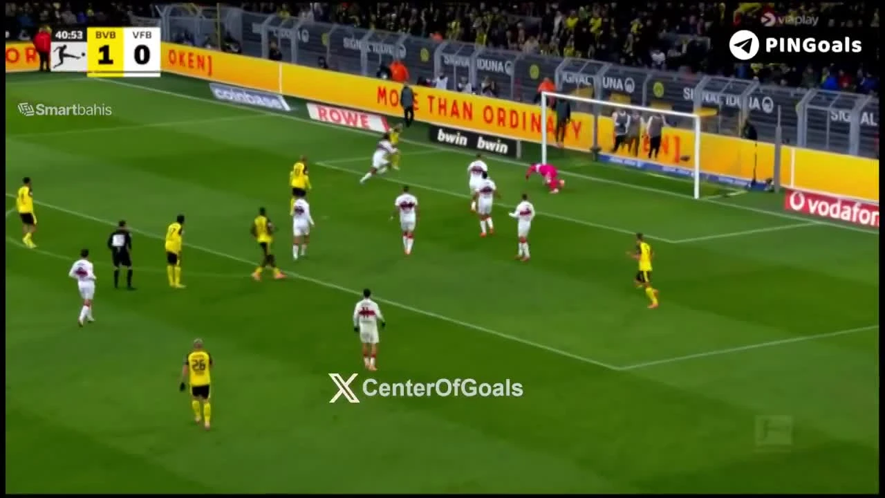 zaslepka skrotu video