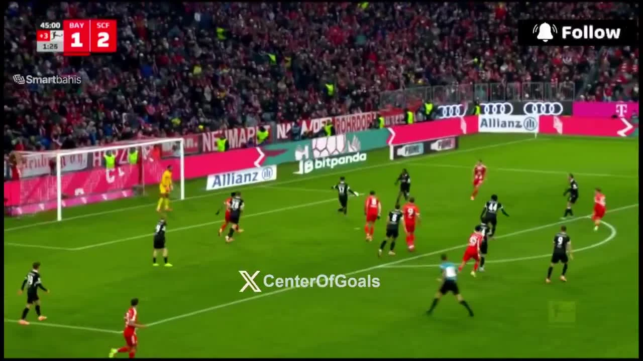 zaslepka skrotu video