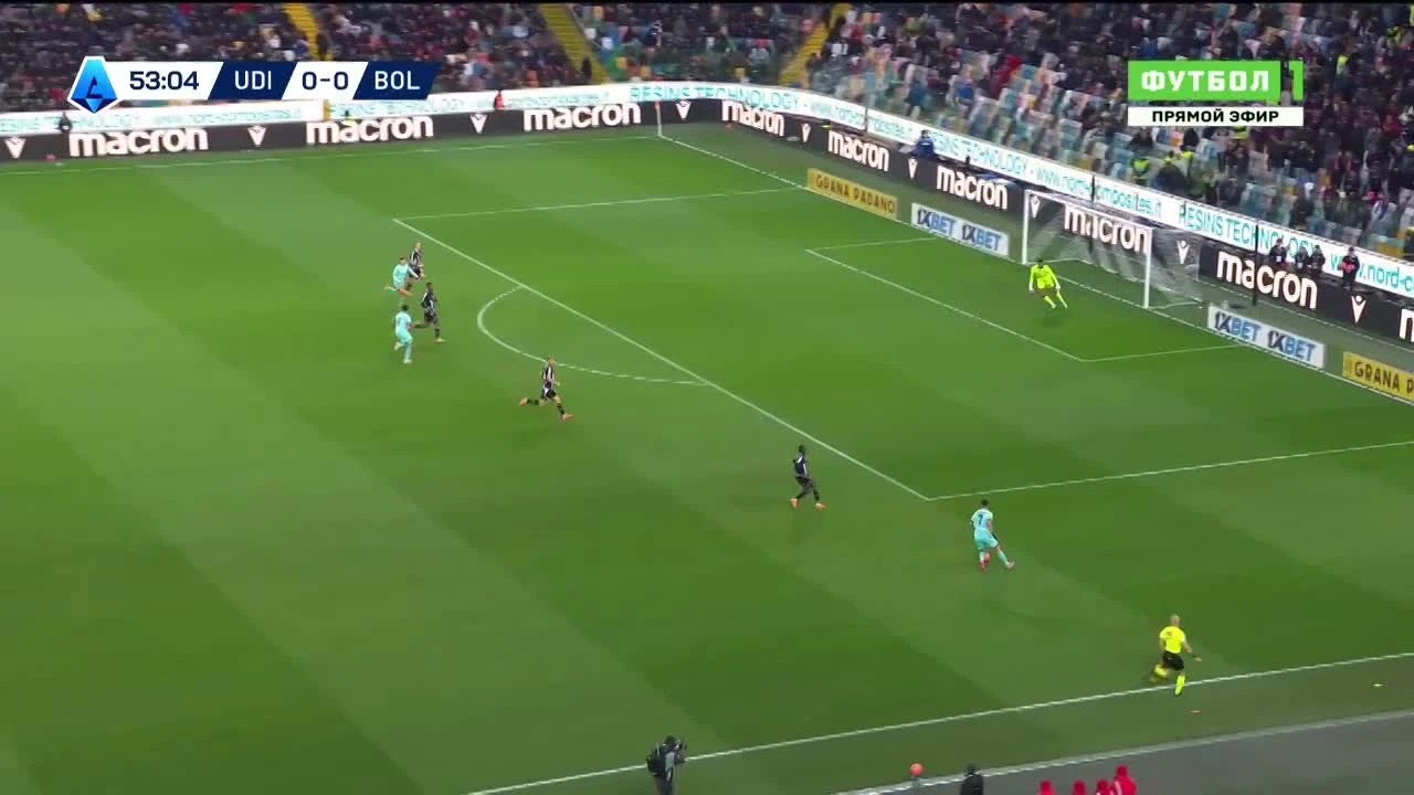 zaslepka skrotu video