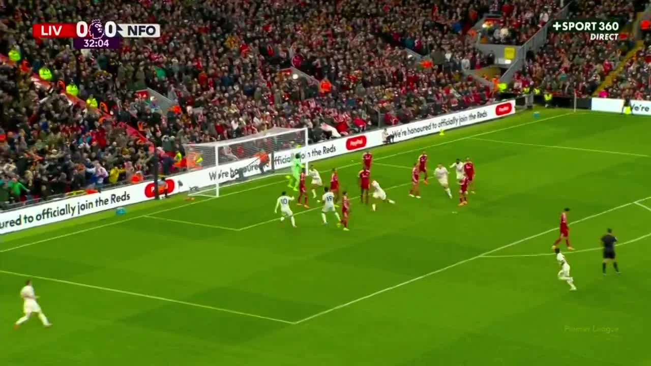 zaslepka skrotu video