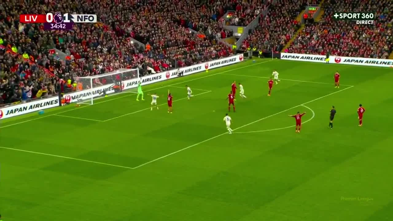 zaslepka skrotu video