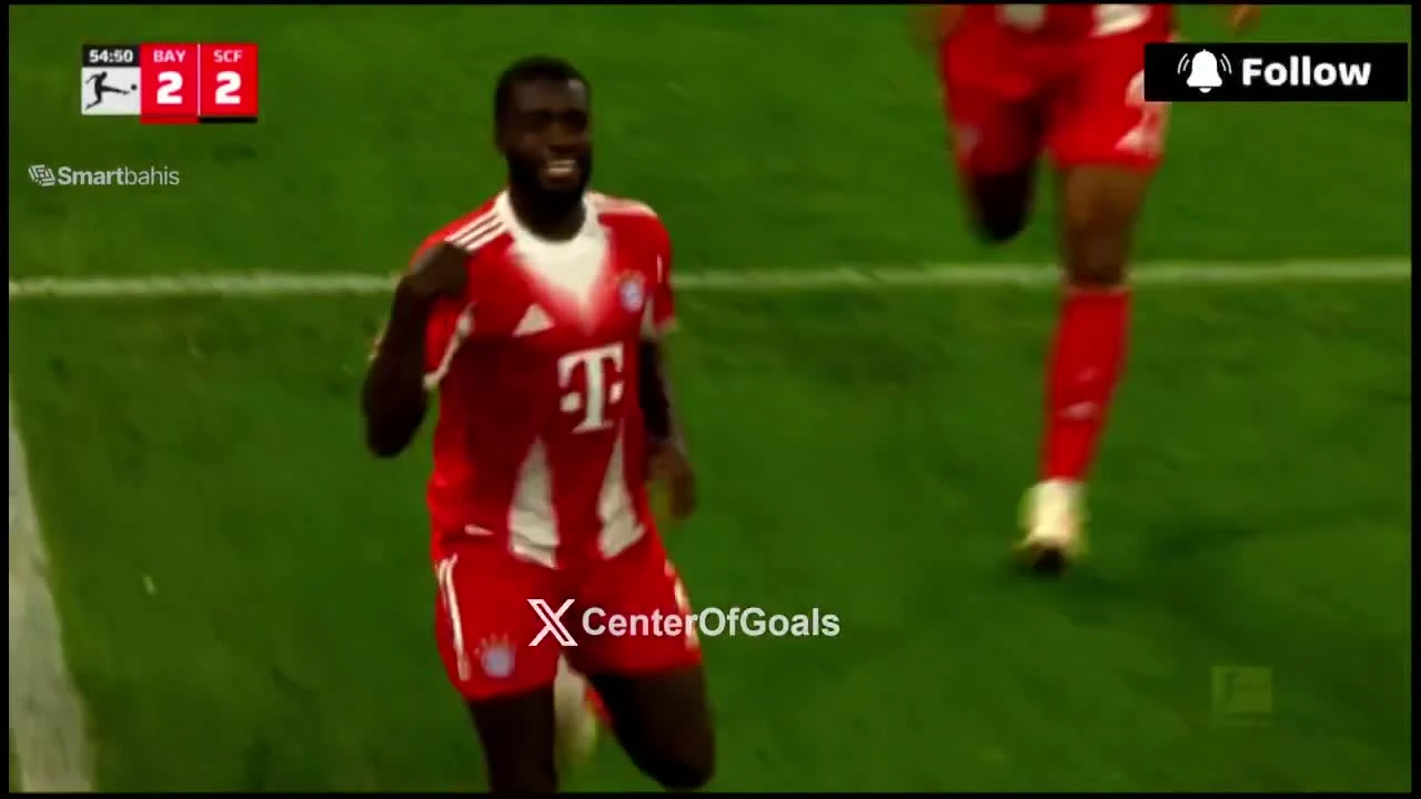 zaslepka skrotu video