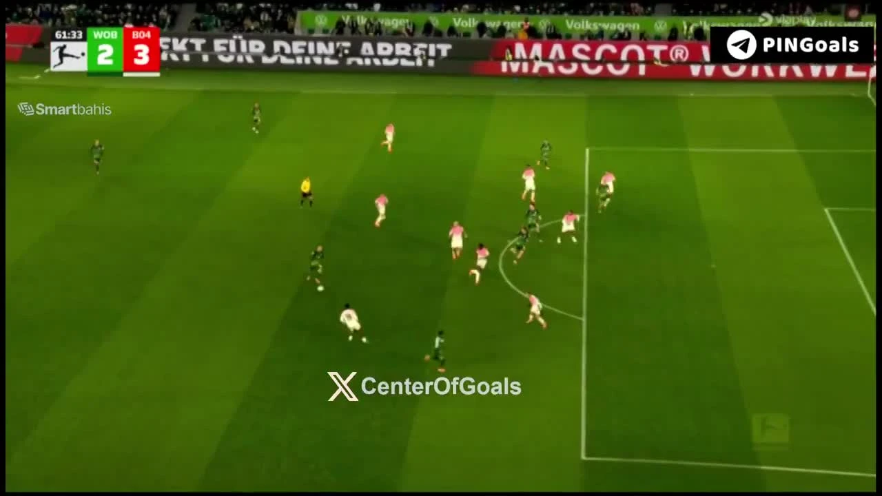 zaslepka skrotu video