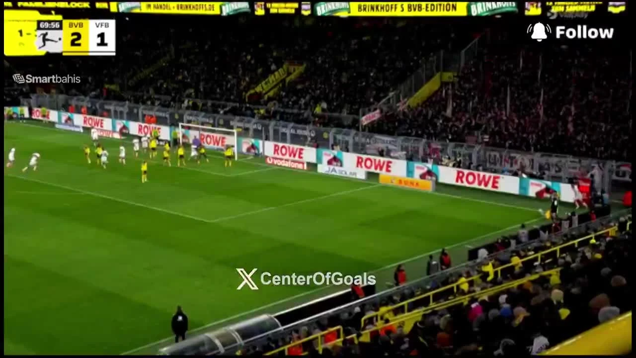 zaslepka skrotu video