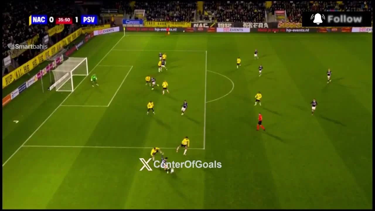 zaslepka skrotu video