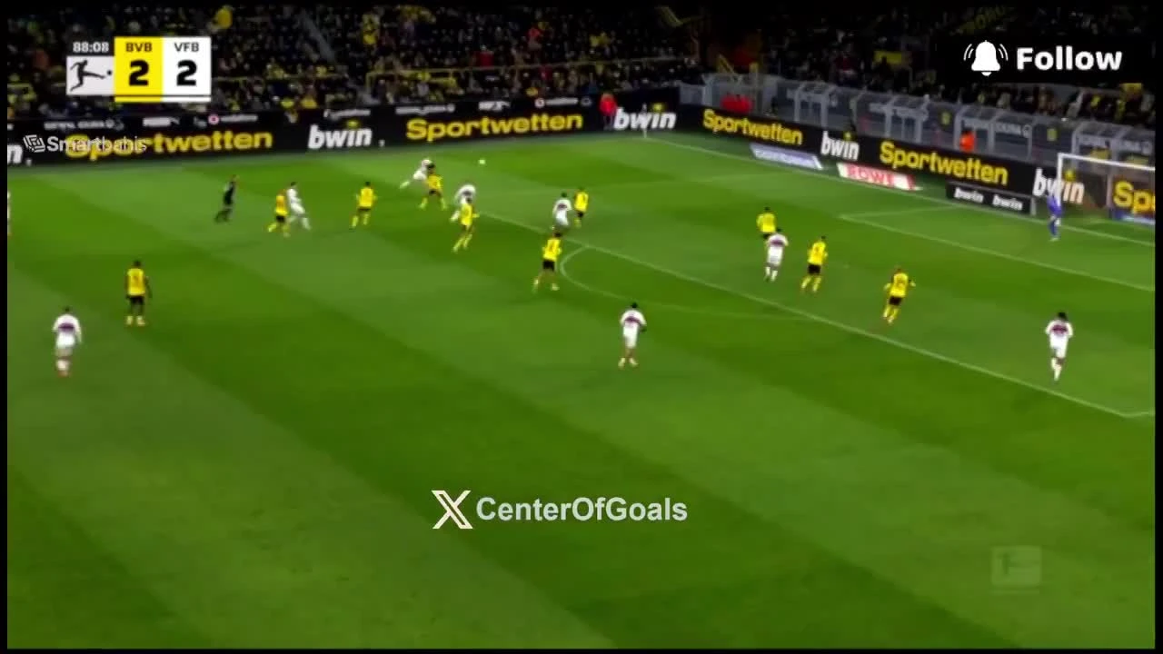 zaslepka skrotu video