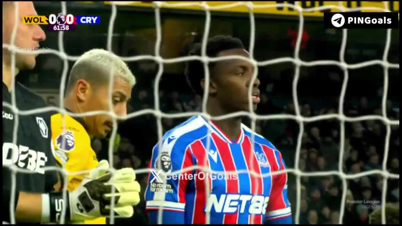 zaslepka skrotu video