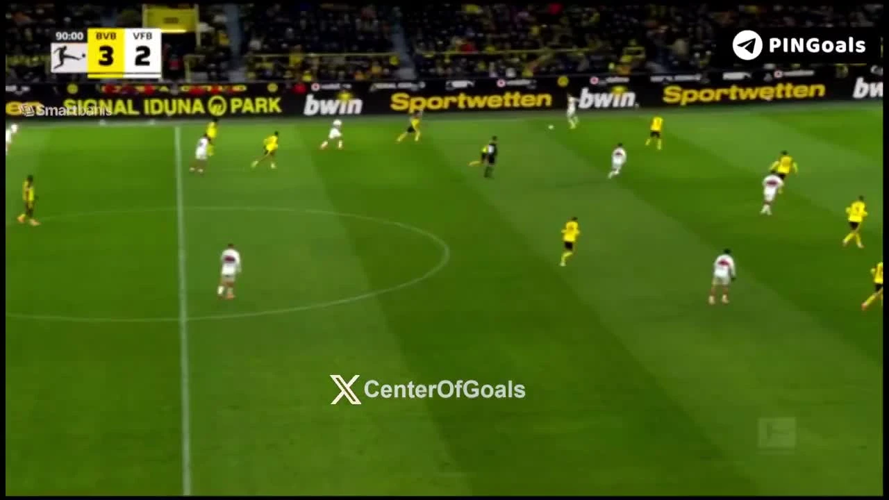 zaslepka skrotu video