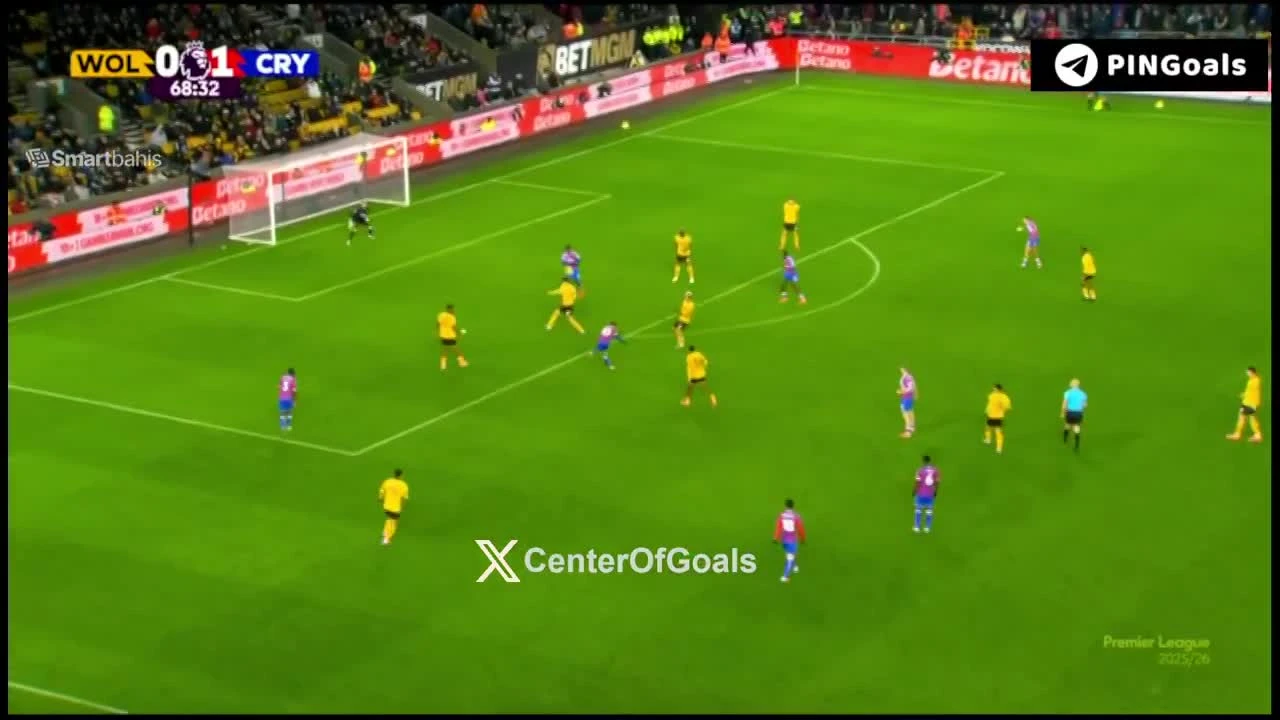 zaslepka skrotu video