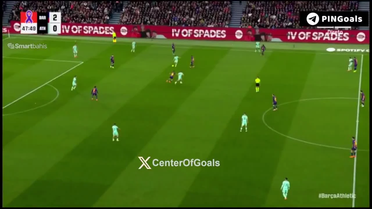 zaslepka skrotu video