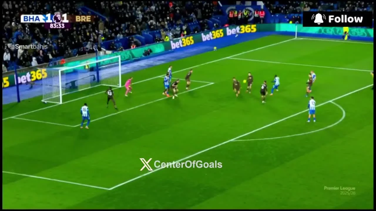 zaslepka skrotu video