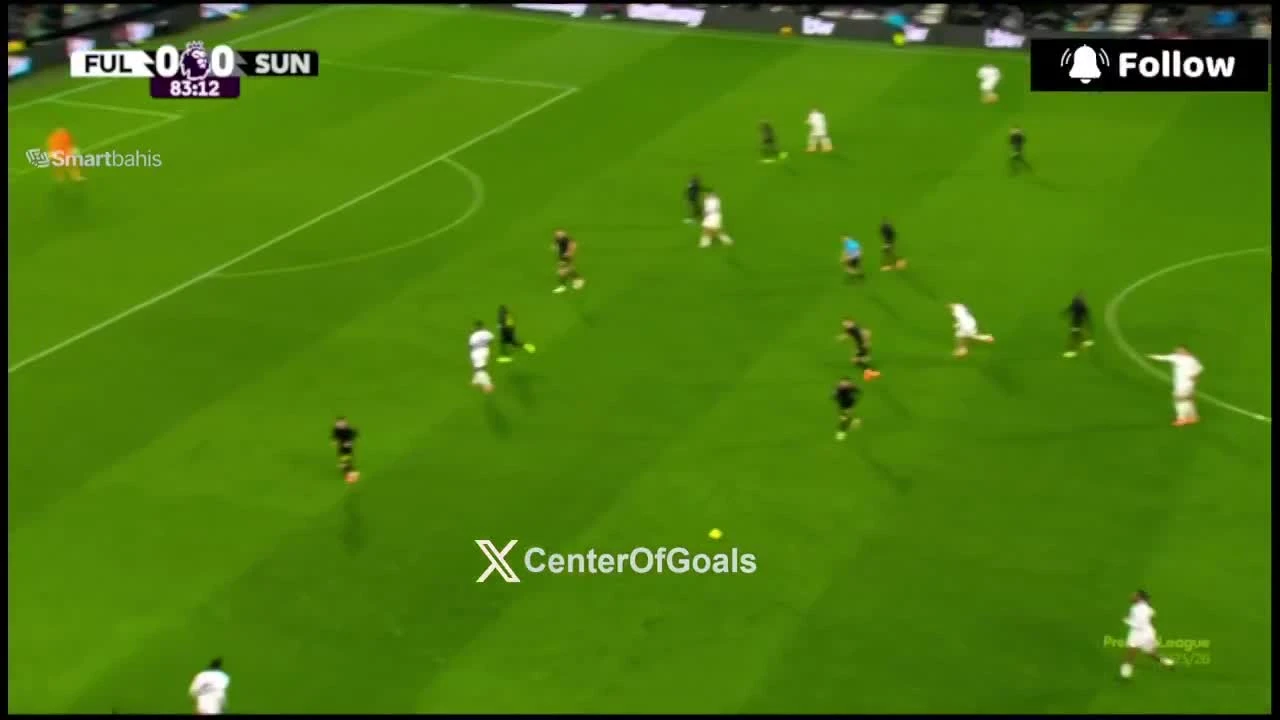 zaslepka skrotu video