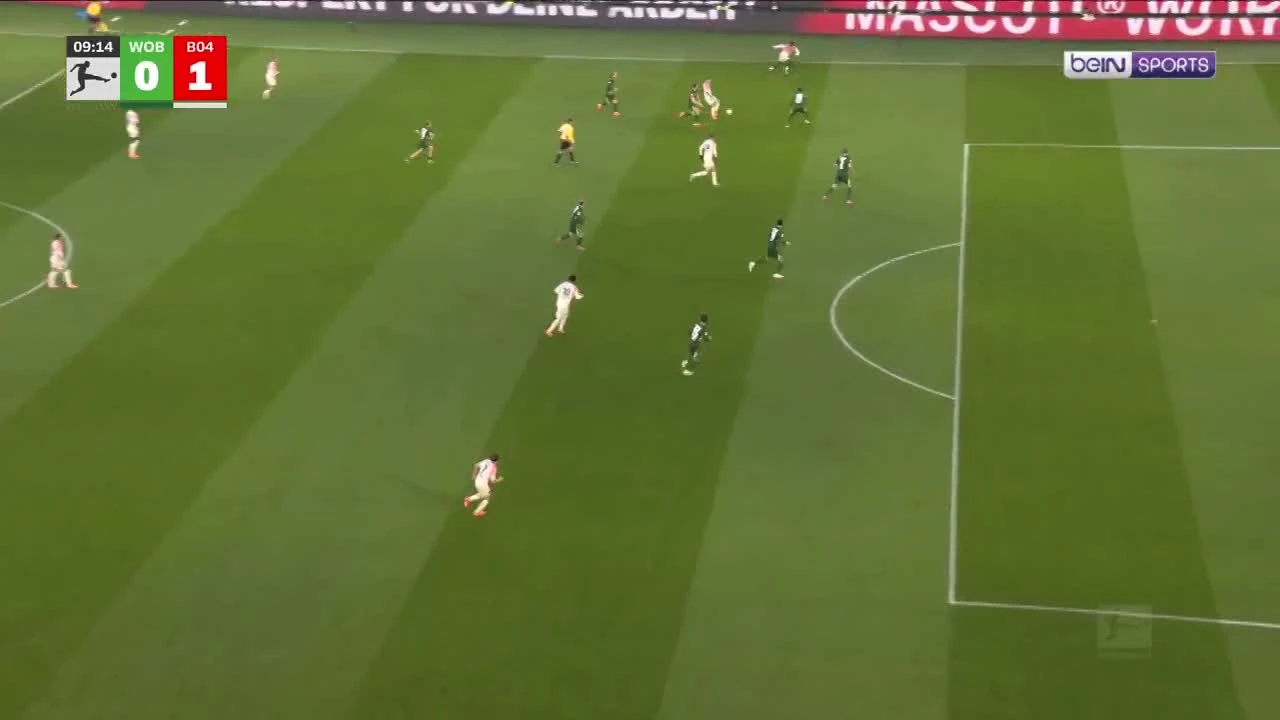 zaslepka skrotu video