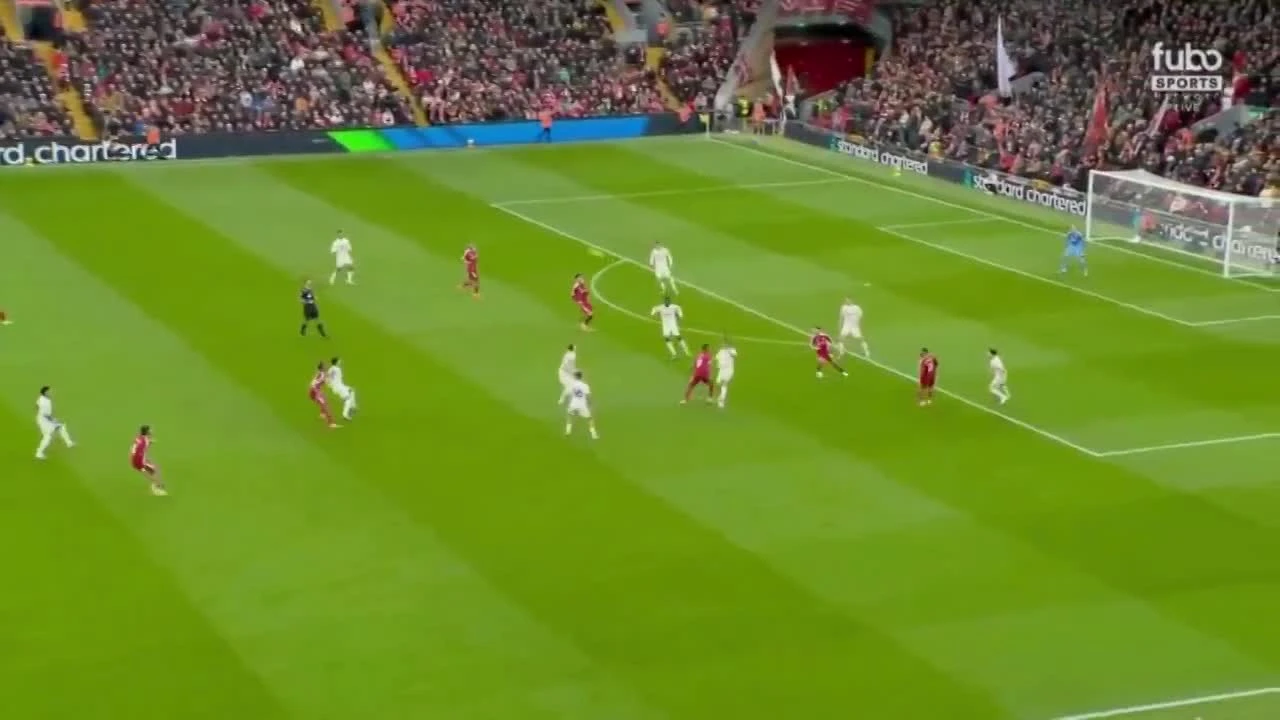 zaslepka skrotu video