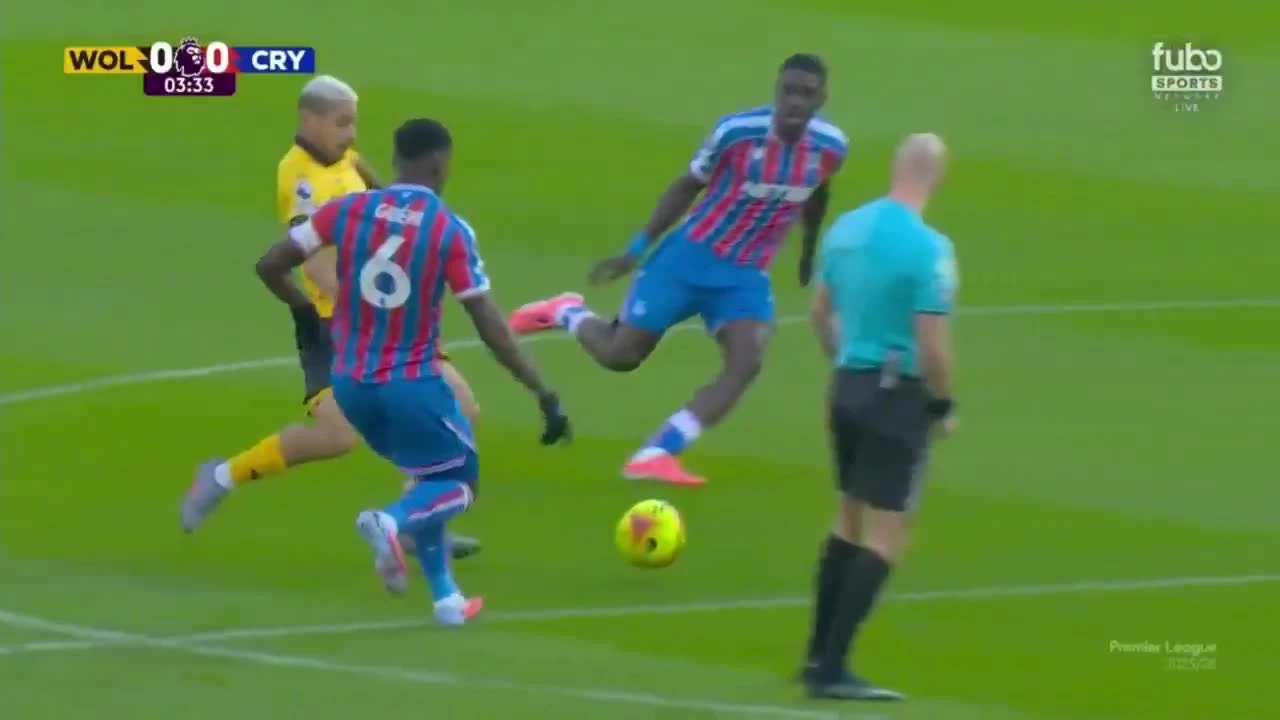 zaslepka skrotu video