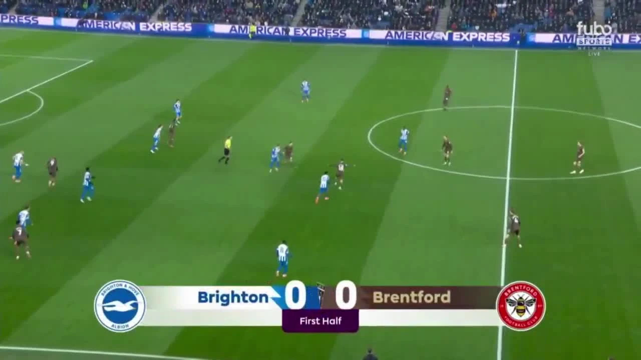 zaslepka skrotu video