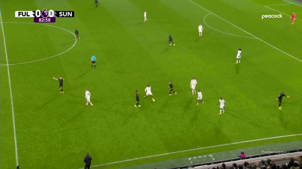 zaslepka skrotu video