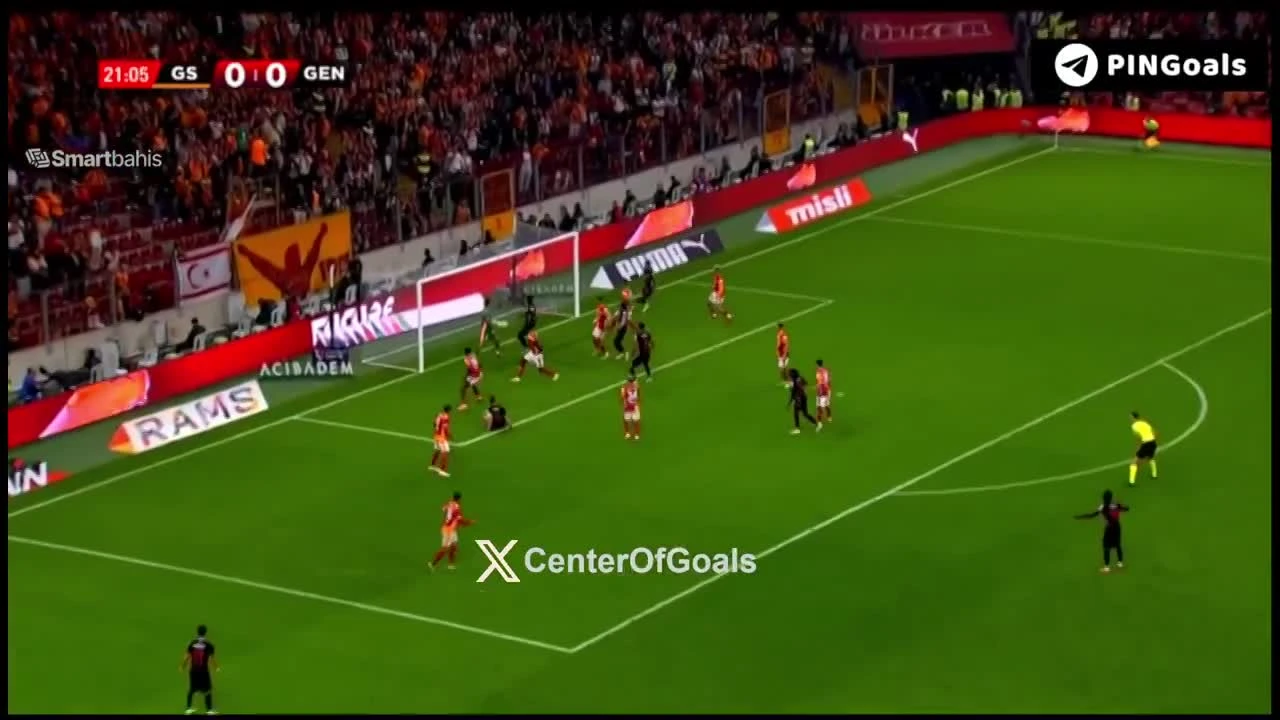 zaslepka skrotu video