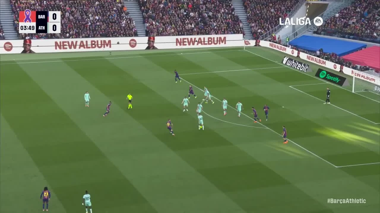 zaslepka skrotu video