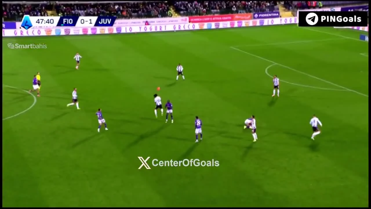 zaslepka skrotu video