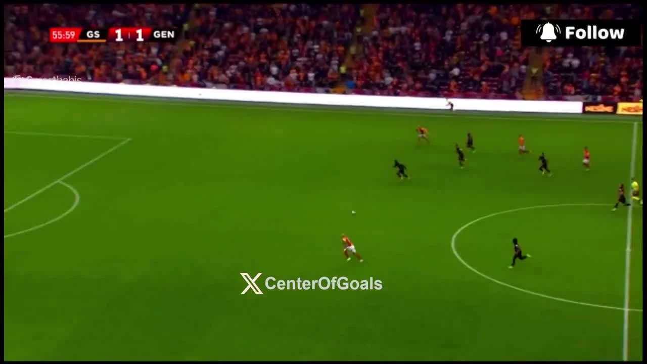 zaslepka skrotu video