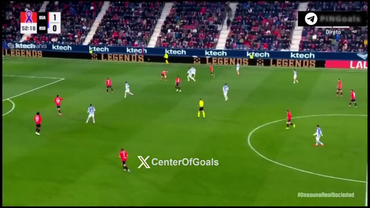 zaslepka skrotu video