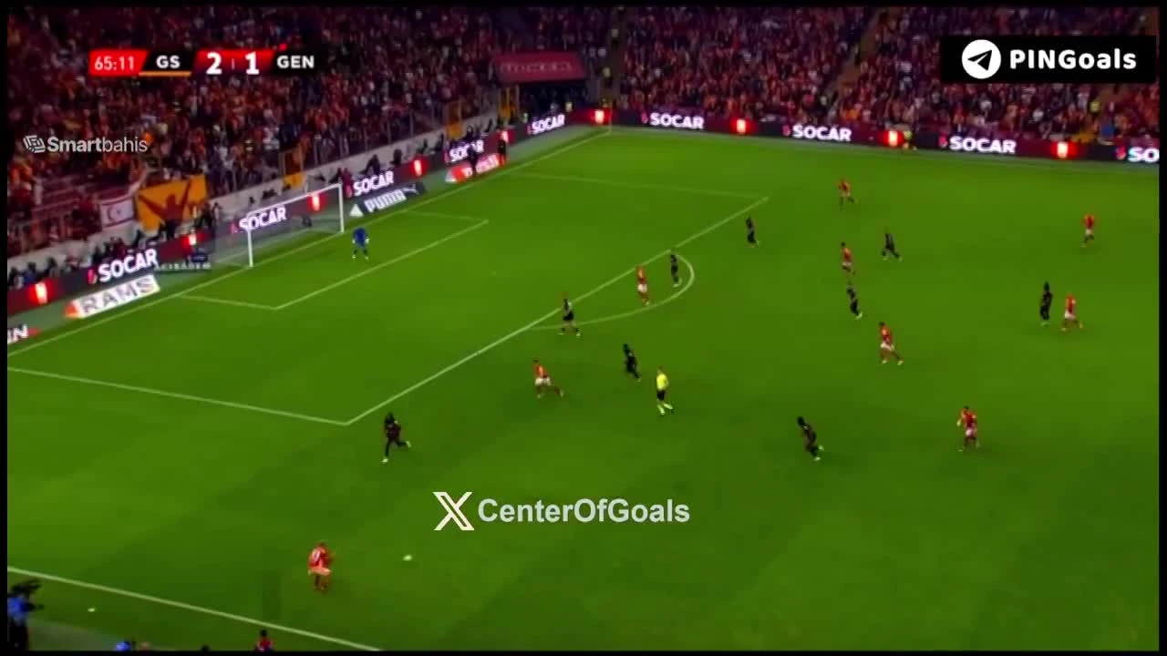 zaslepka skrotu video