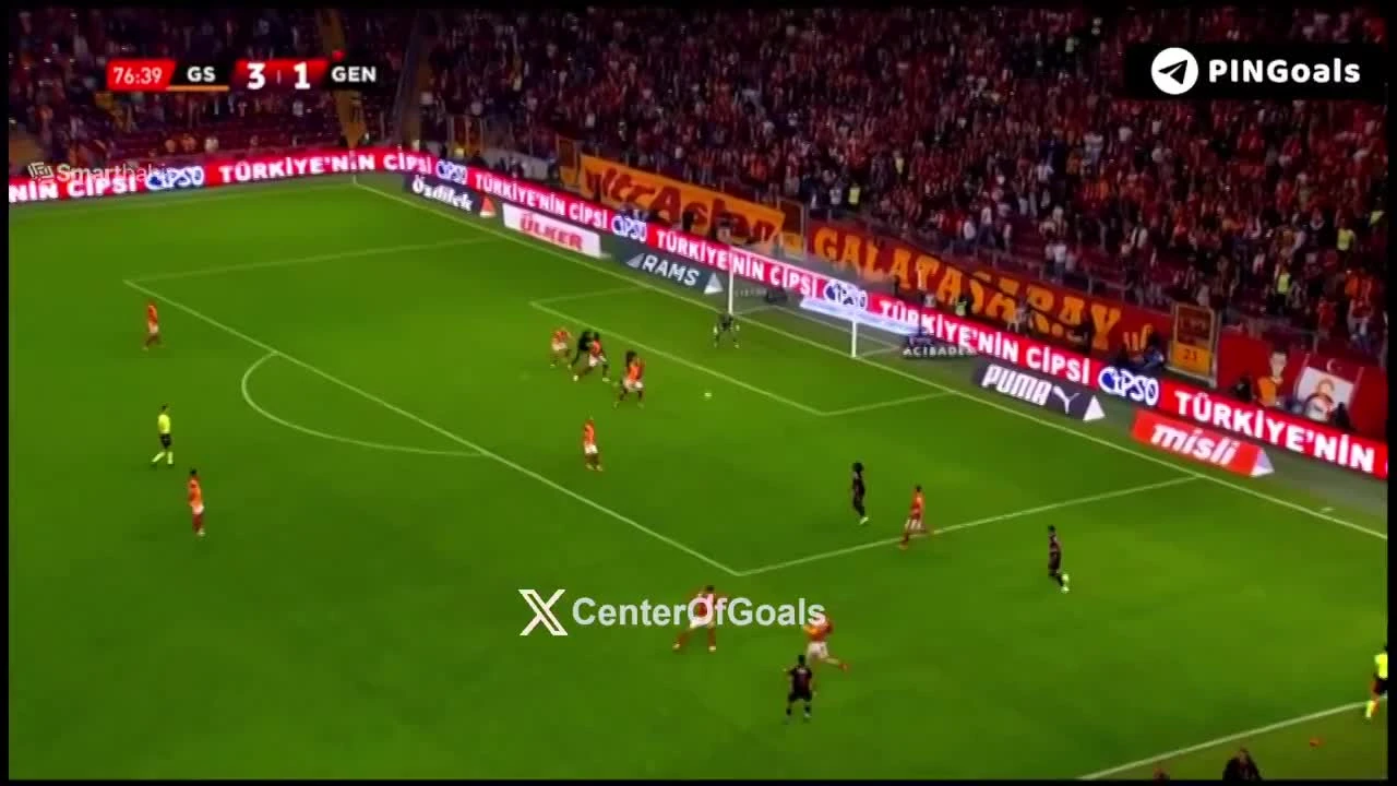 zaslepka skrotu video