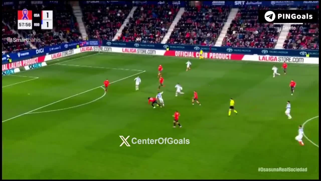 zaslepka skrotu video