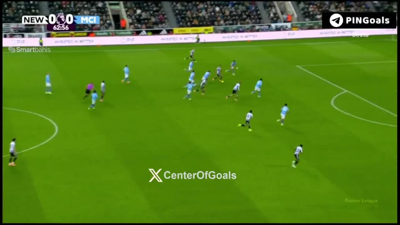 zaslepka skrotu video